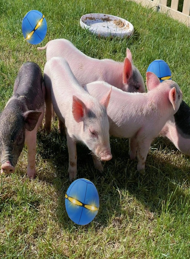 OOXYG Pig Toy - Toy for Pigs, Interactive Pig Flying Saucer Disc Ball Toys with 6 Lights for Mini Pigs, Enrichment Play for Pet Pigs Supplies Enjoyment and Fun - Image 4